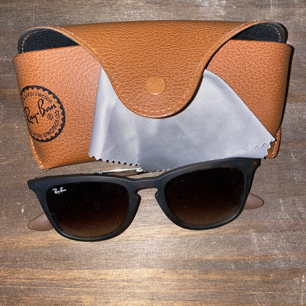 Ray Ban Erika Sunglasses